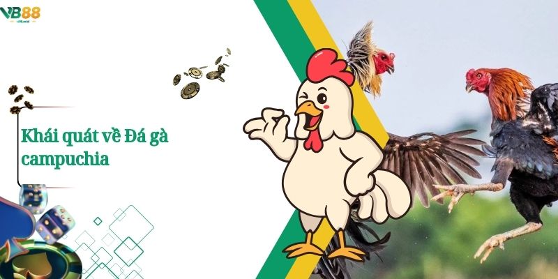 Khái quát về Đá gà campuchia