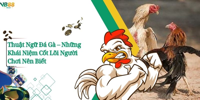 Thuật Ngữ Đá Gà – Những Khái Niệm Cốt Lõi Người Chơi Nên Biết