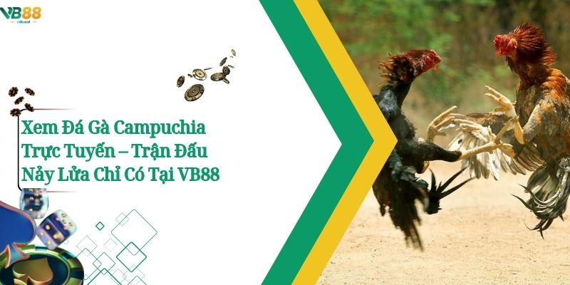 Xem Đá Gà Campuchia Trực Tuyến – Trận Đấu Nảy Lửa Chỉ Có Tại VB88