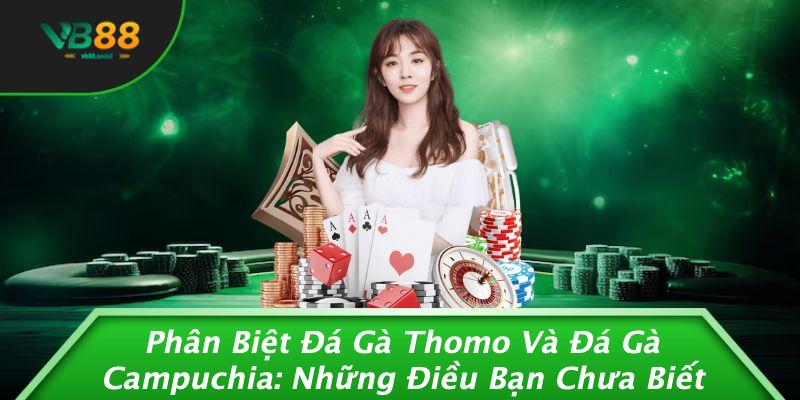 Phân Biệt Đá Gà Thomo Và Đá Gà Campuchia: Những Điều Bạn Chưa Biết